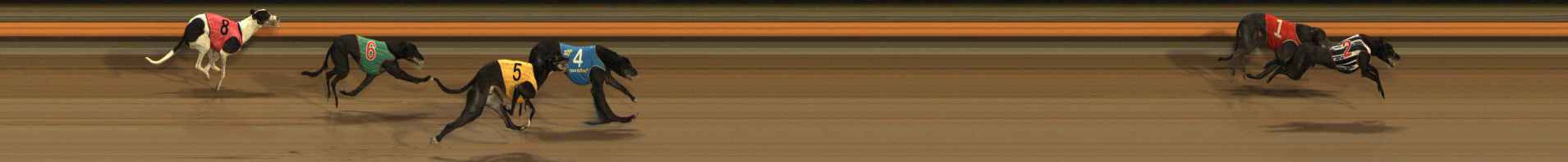 Race result finish photo